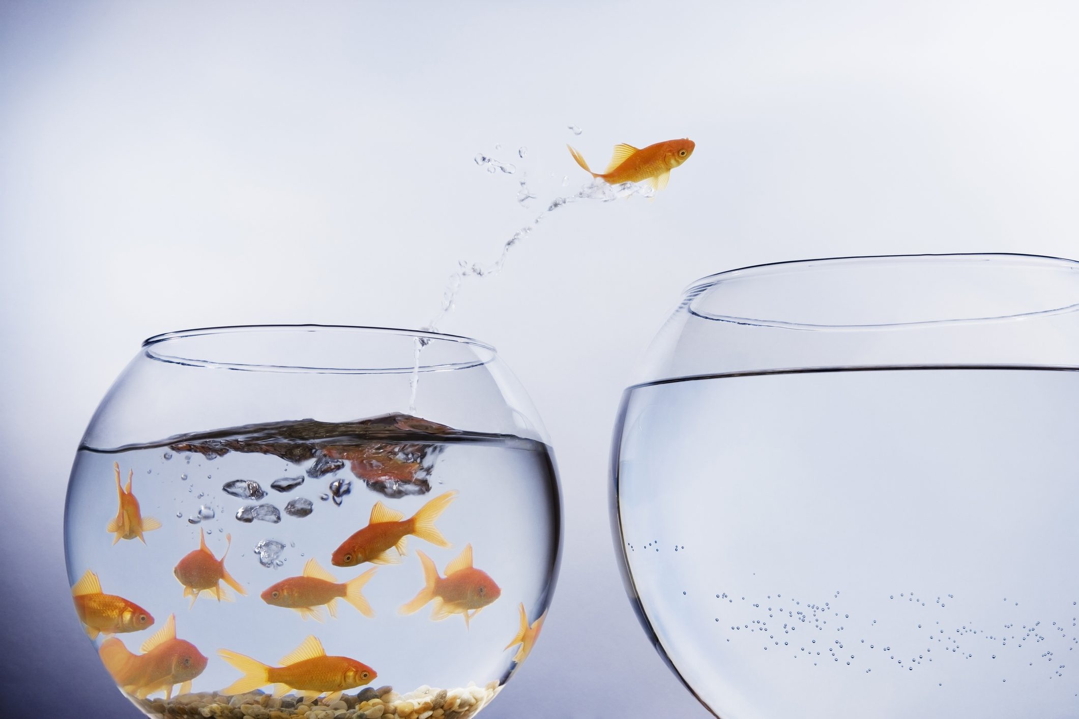 9 Ways to Improve Email Conversions