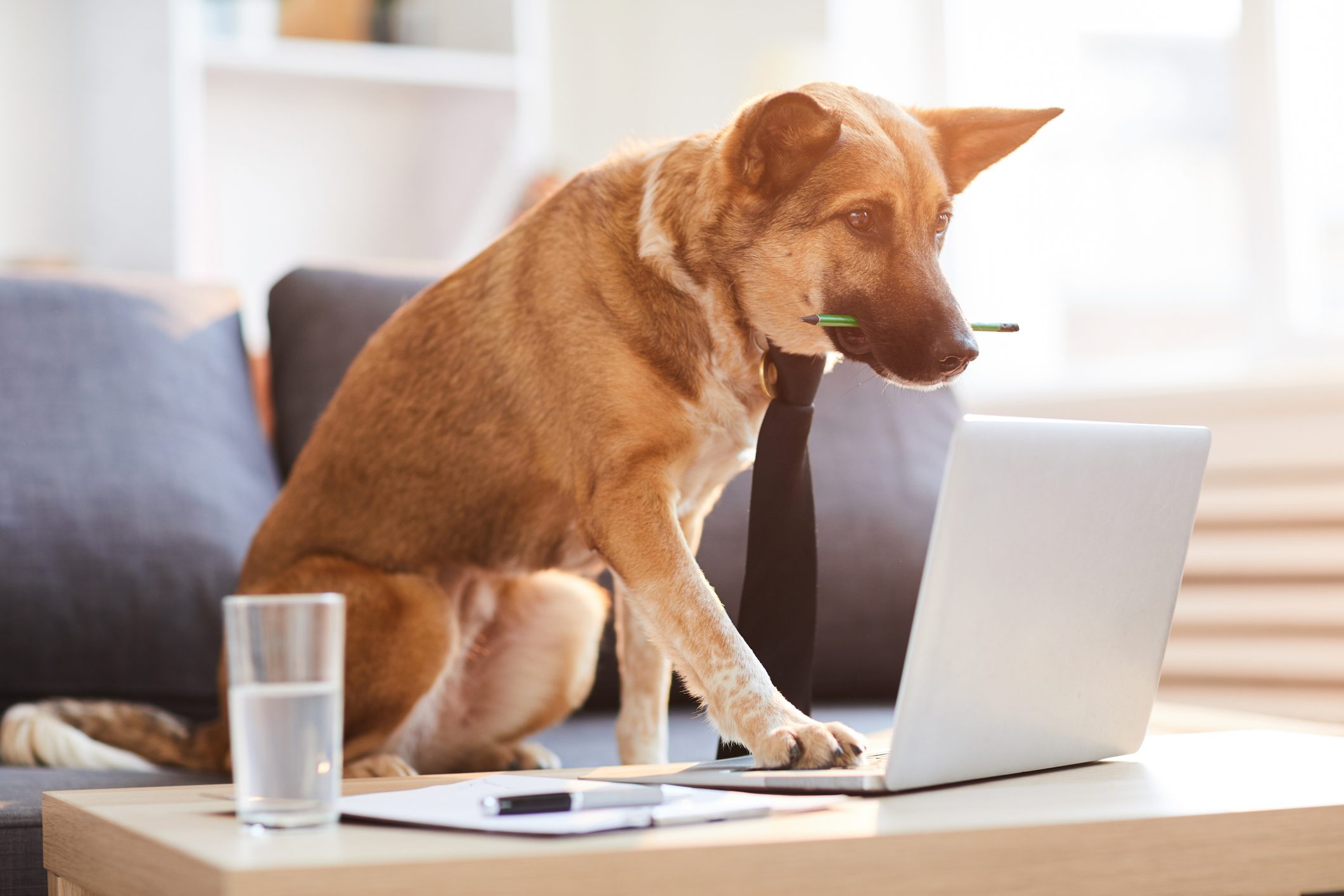 7 Interactive Email Ideas to Boost Engagement
