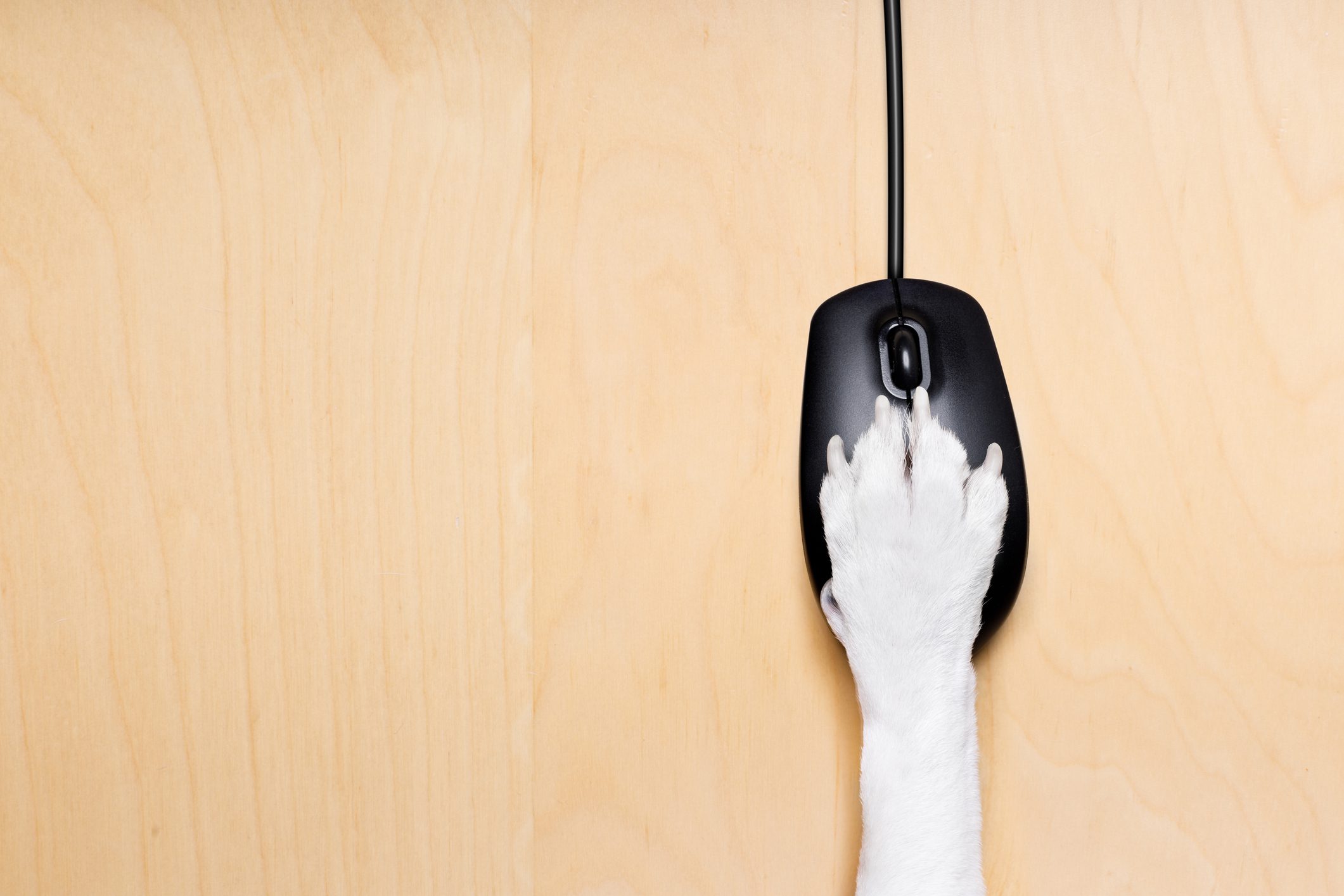 5 Strategies to Drive Email Engagement