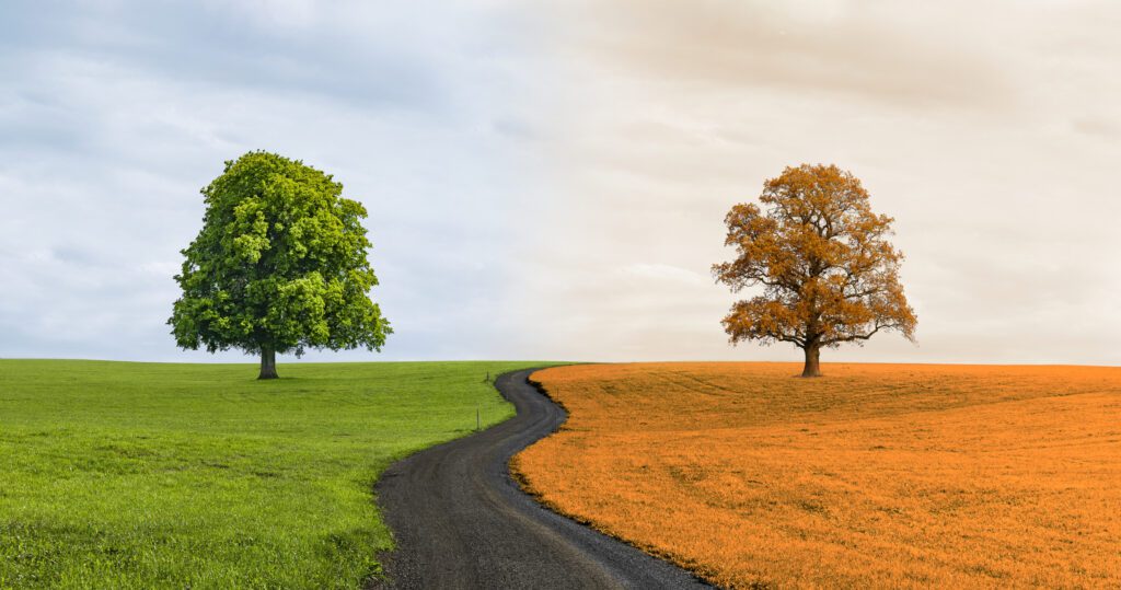 Email marketing changing seasons