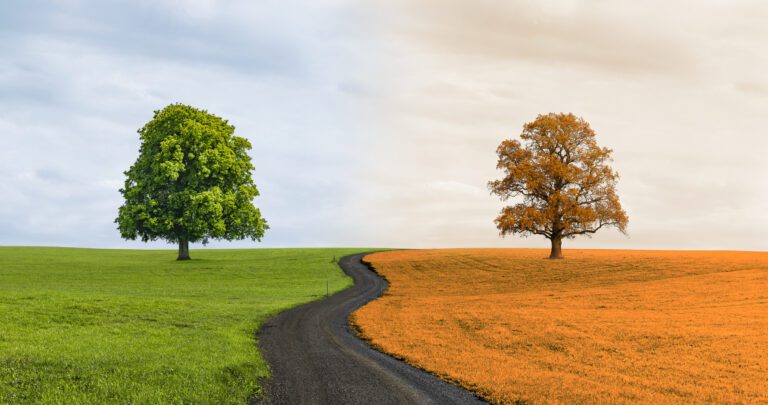 Email marketing changing seasons